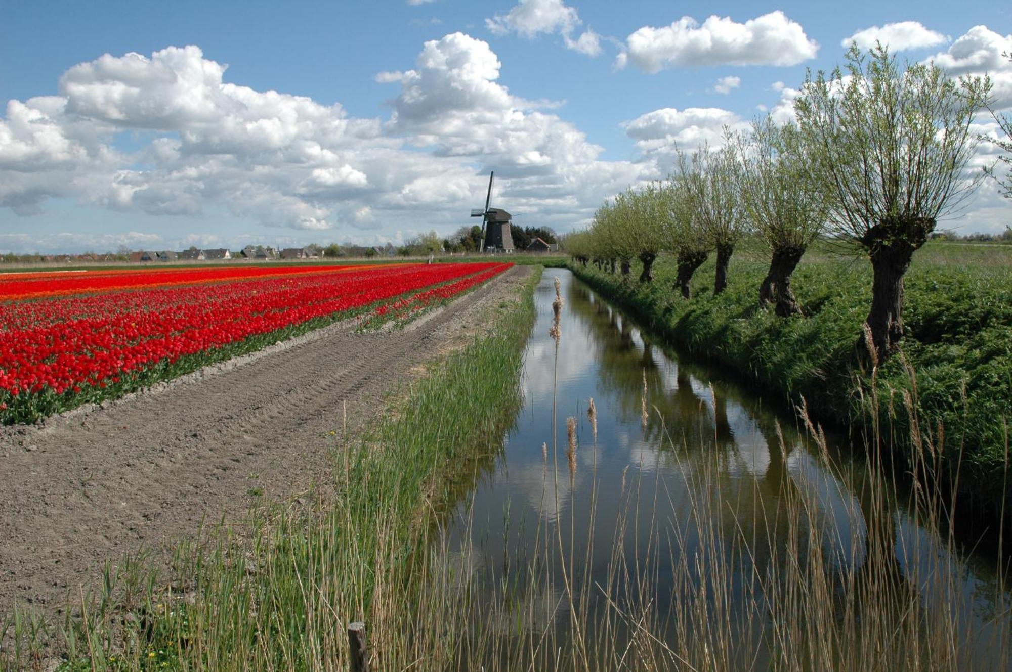Hotelhuisjes Medemblik Wieringerwerf Dış mekan fotoğraf