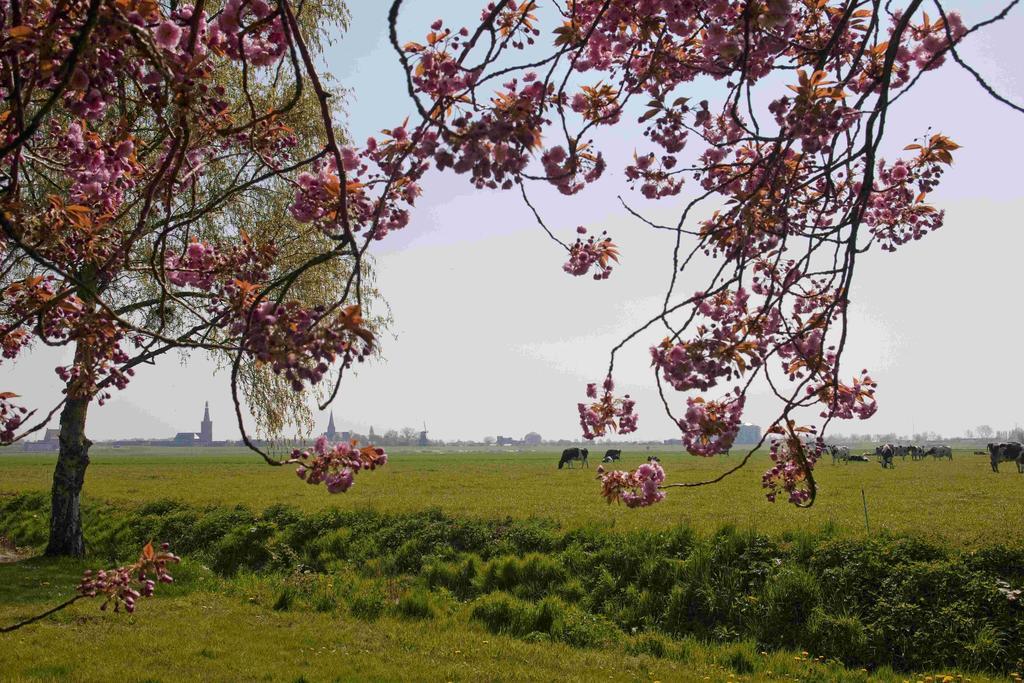 Hotelhuisjes Medemblik Wieringerwerf Dış mekan fotoğraf